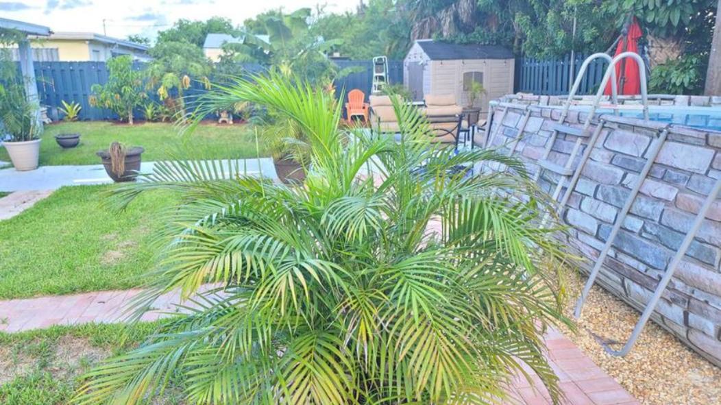Palm Springs 3-Bedroom 2-Bath 5 Miles To The Beach Lake Worth Beach Dış mekan fotoğraf